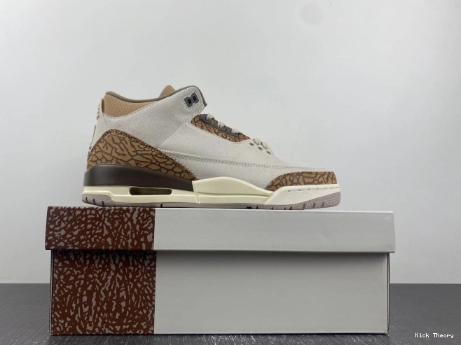 Kicktheory 3 Air Jordan Palomino CT8532-102 0815